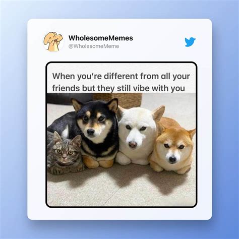 all good meme|cute wholesome memes.